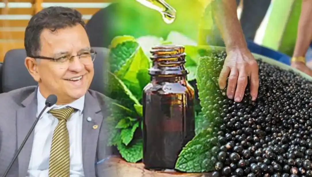 Image from ac24horas.com: *Aprovados PLs de Gonzaga que cria Programa Farmácias Vivas e torna Fe...