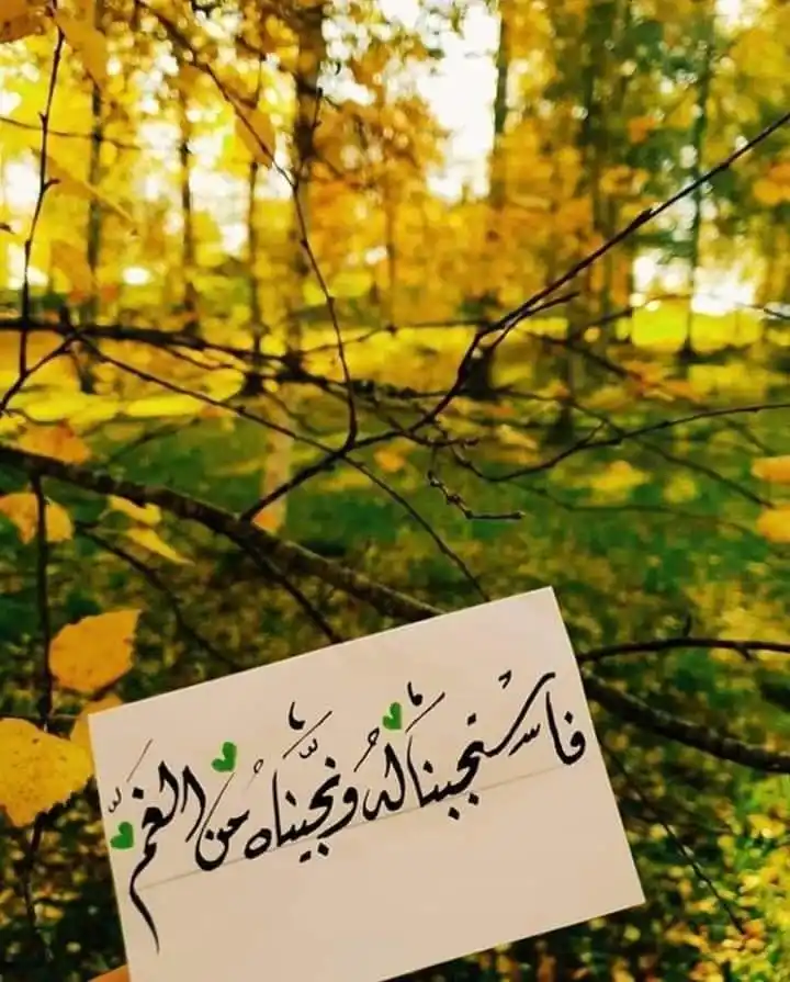 Image from نور الإسلام (حالات واتساب) شبكة خير أمة: *🌾🍃إشـ الصباح ـر اقة🍃🌾*  *﷽ ﴿إِذْ نَادَىٰ رَبَّهُ نِدَاءً خَفِيًّا...