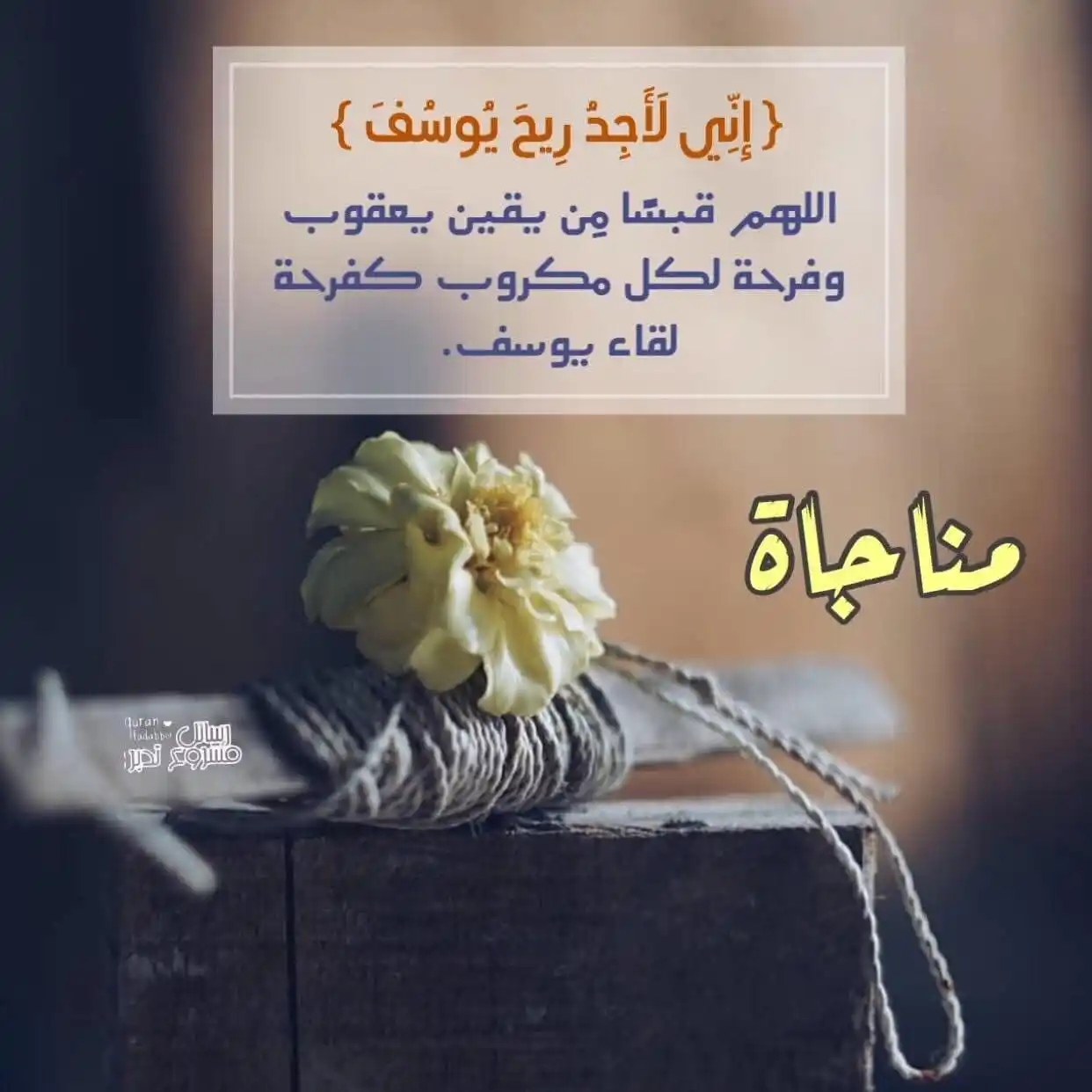 Image from نور الإسلام (حالات واتساب) شبكة خير أمة: *🤎🌾إشـ الصباح ـر اقة🌾🤎* محسنون الظن بالله يشمون رائحة الفرج رغ...