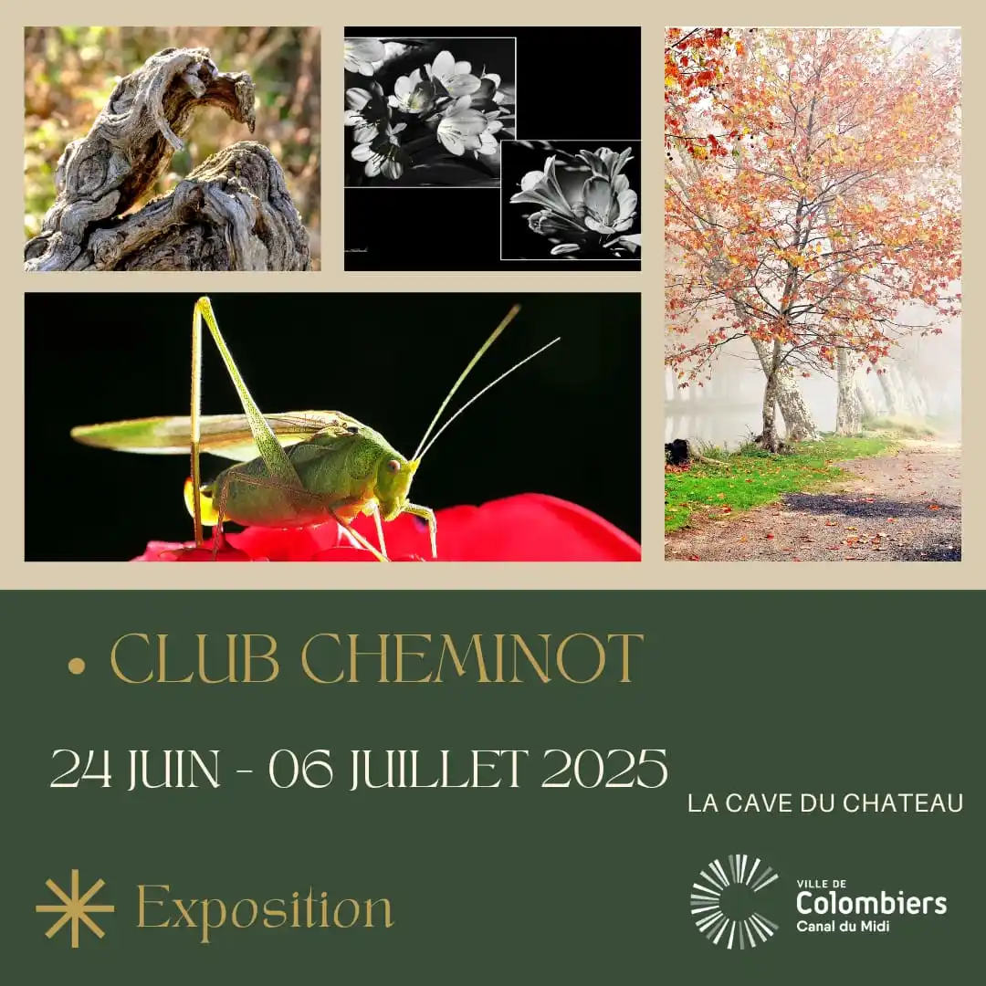 Image from Ville de Colombiers: 👩‍🎨👨‍🎨 Club Cheminot 📷  Exposition - Photos 📆 Du 24 Juin - 06 Ju...
