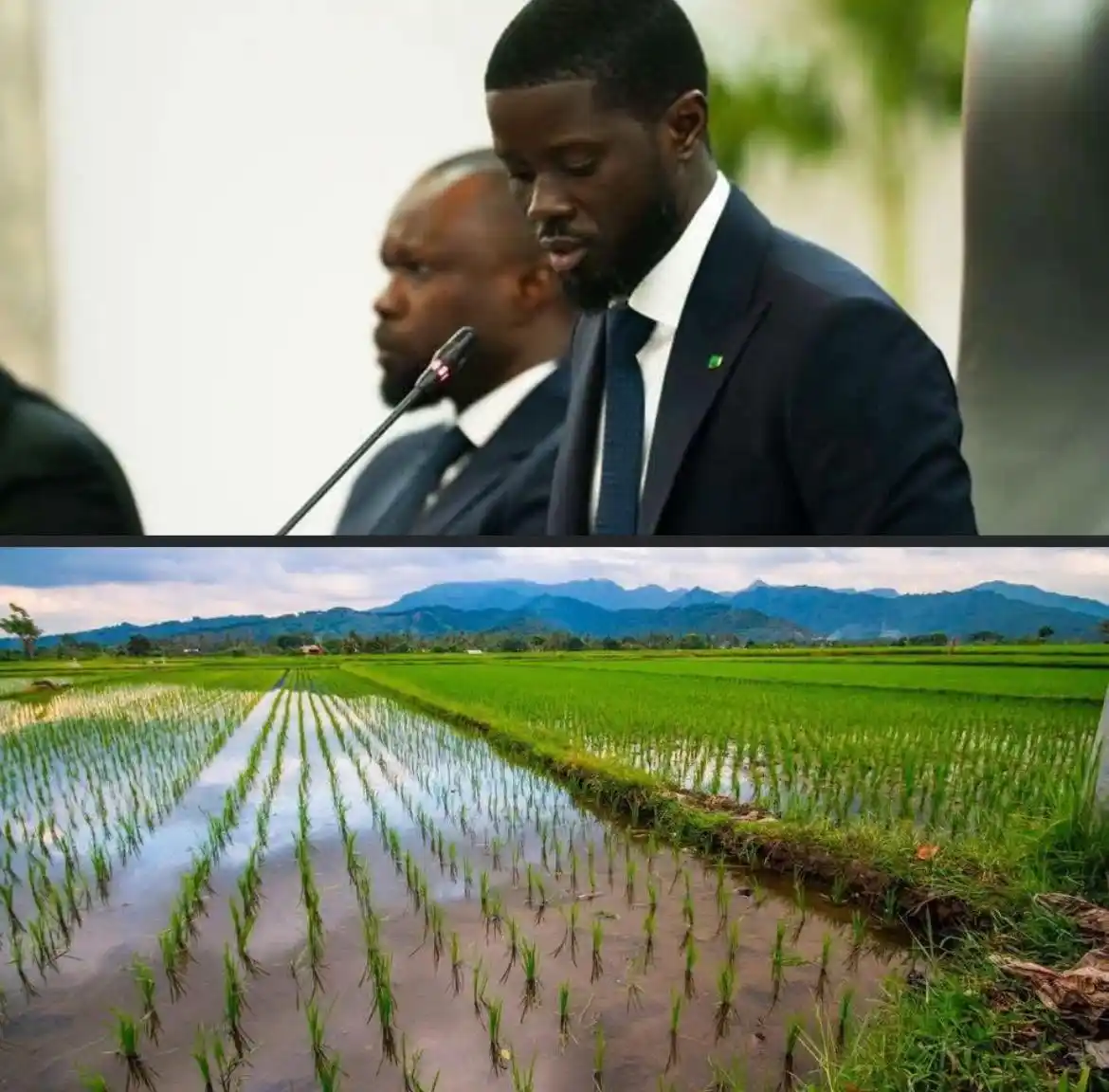 Image from ✨🇸🇳TOUT CE QUI SE PASSE AU SÉNÉGAL: 📌Le Chef de l'Etat a indiqué l'impératif d'une combinaison optimale e...