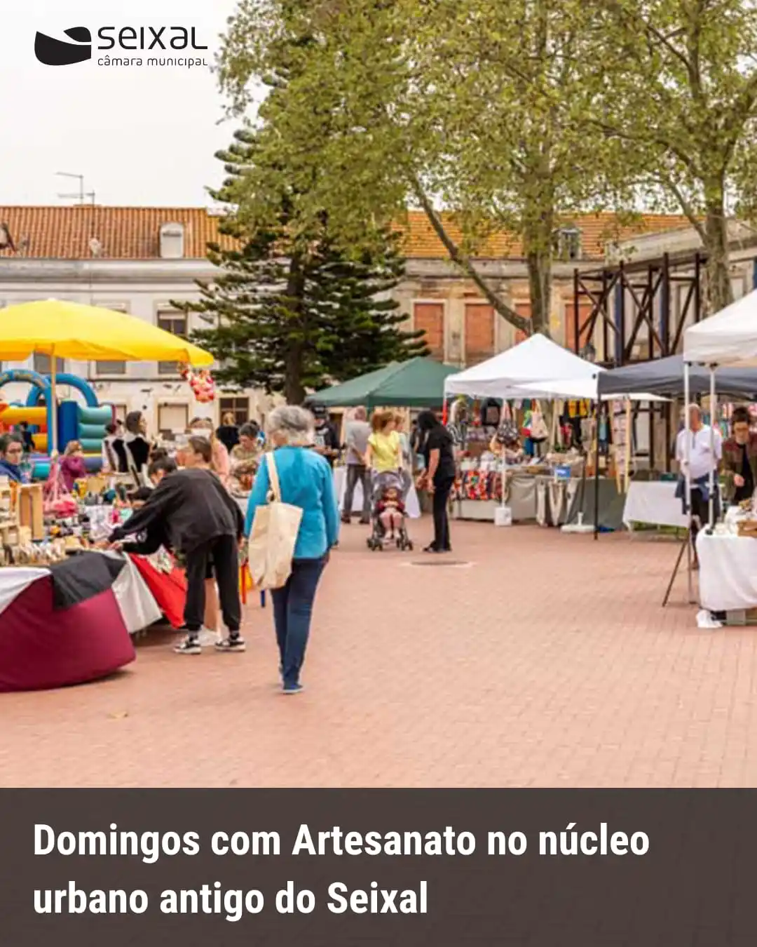 Image from Município do Seixal: No dia 14 de junho, sábado, entre as 10 e as 19 horas, visite a feira ...