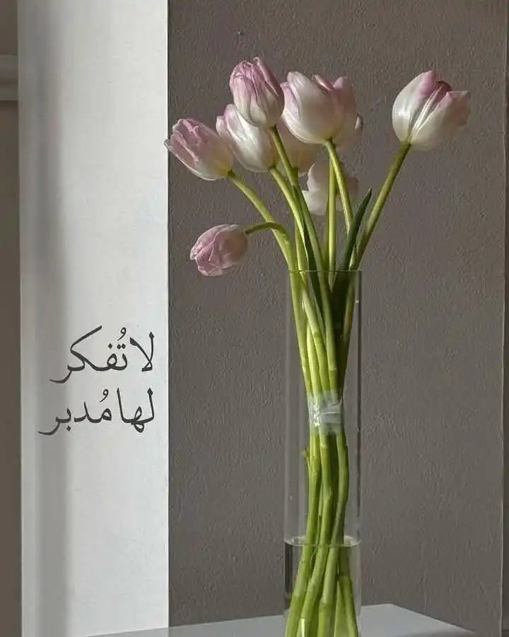 ﴿وقُل رَّبِّ زِدْنِي عِلْمًا﴾🤍📚|  اذكار_قرآن_دعاء_امل_تفاؤل_رمضان post