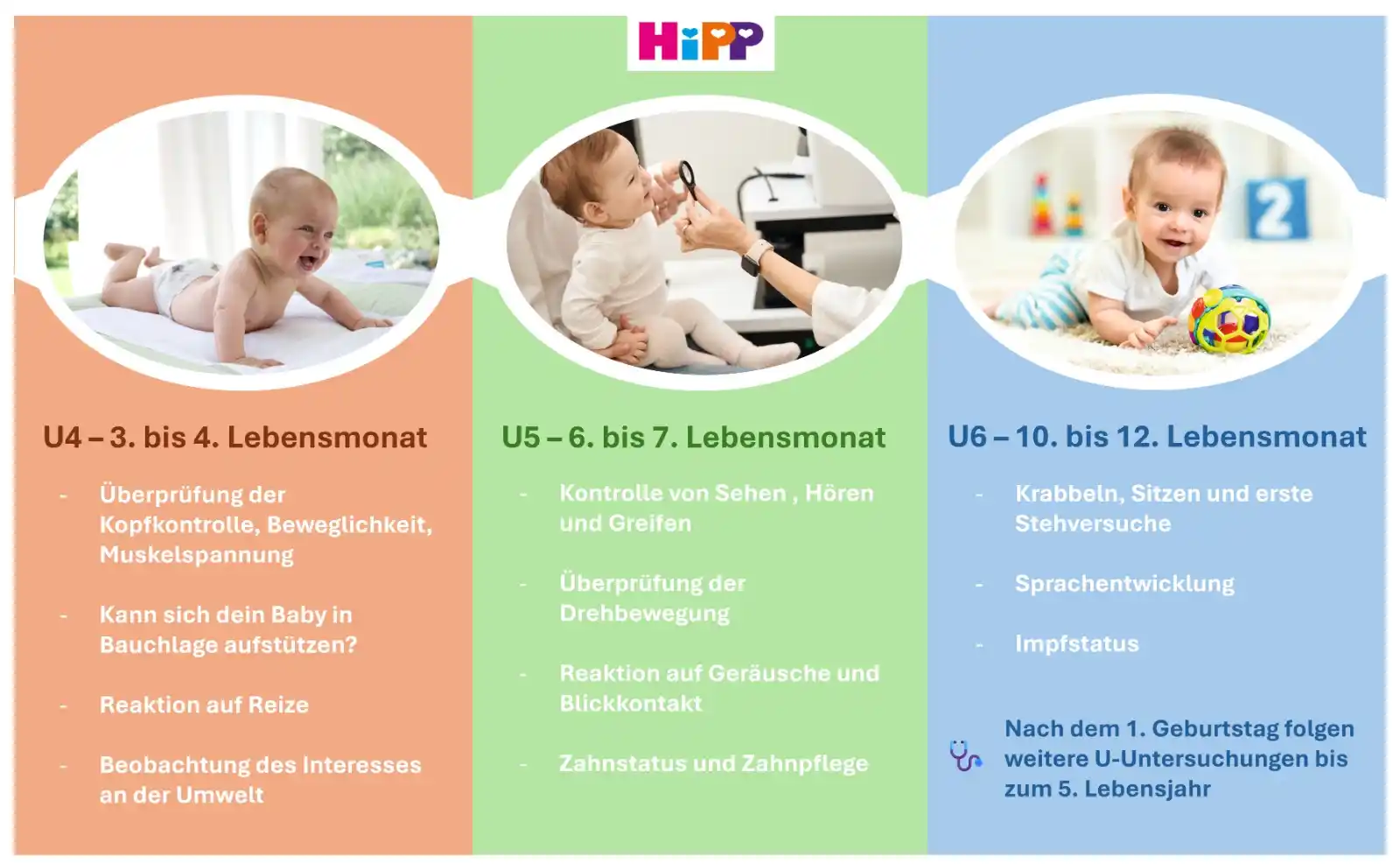 Image from HiPP: Weiter geht es mit den🩺 *U-Untersuchungen – Pflicht oder freiwillig?*...