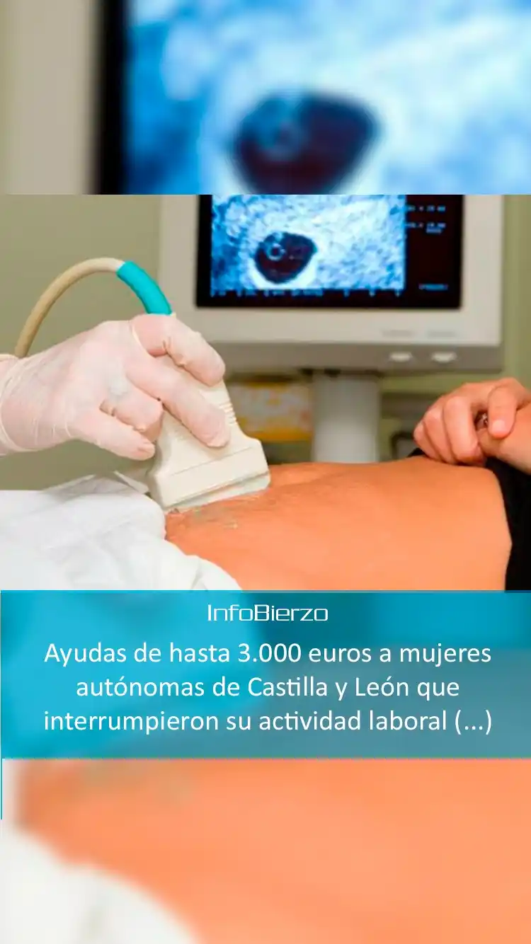 Image from InfoBierzo: Ayudas de hasta 3.000 euros a mujeres autónomas de Castilla y León que...