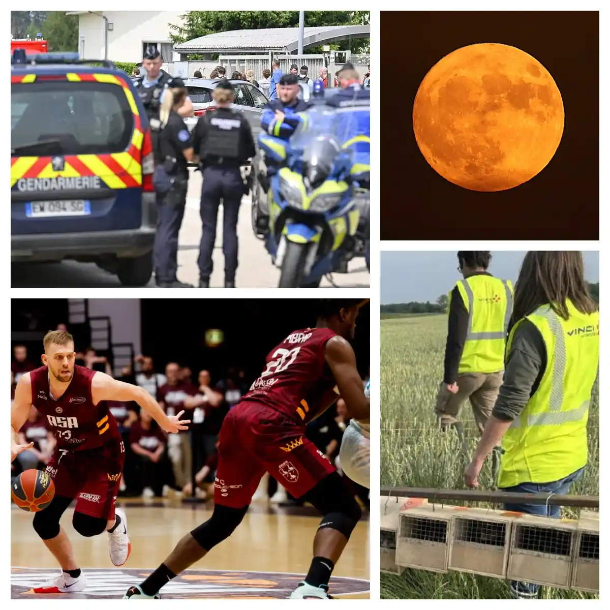Image from L'Alsace: Bonsoir à tous, Jérôme avec vous ce mercredi soir pour passer en revue...