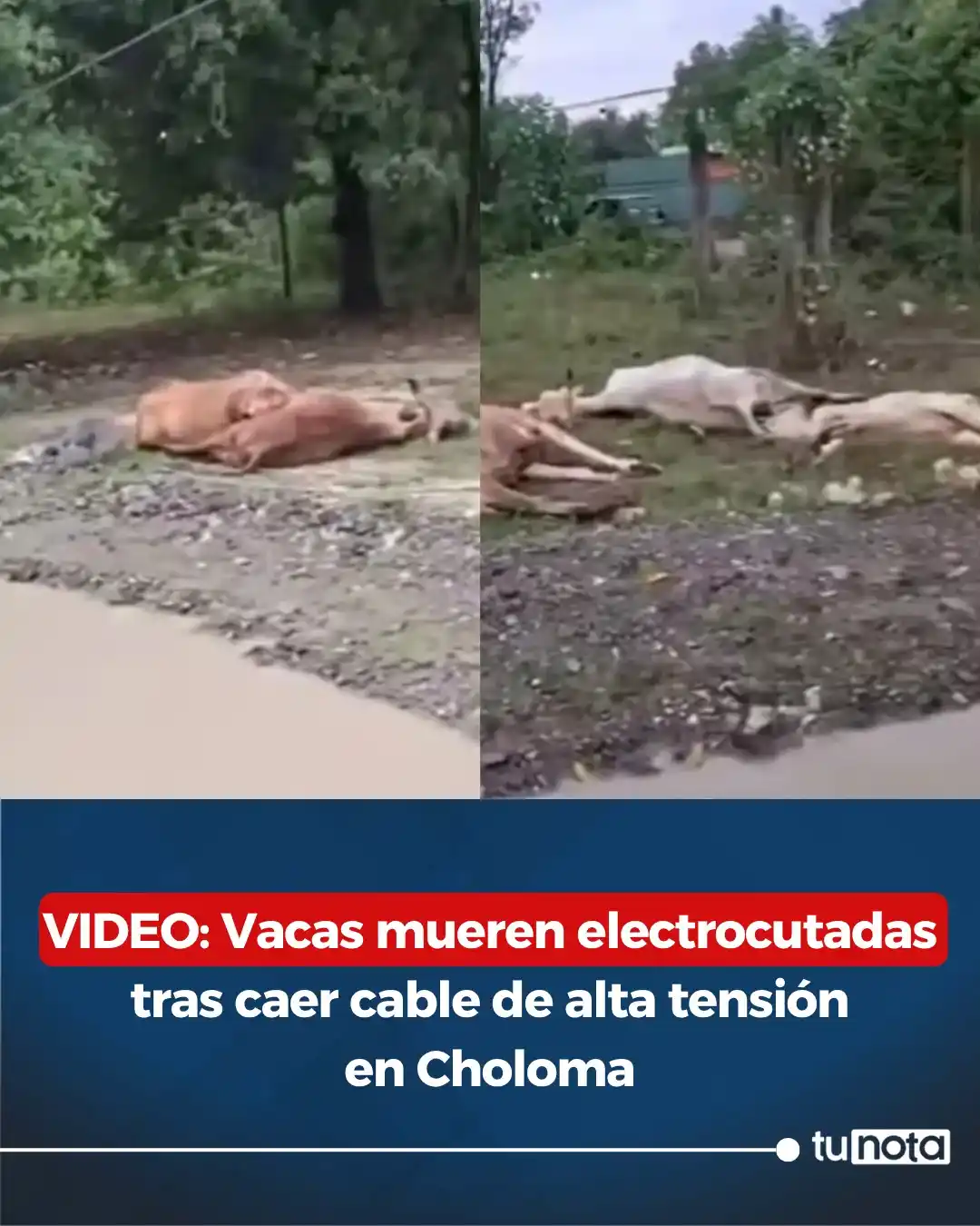 Image from tunota: 💔¡Desgarradora tragedia! Pobladores preocupados porque cables siguen ...