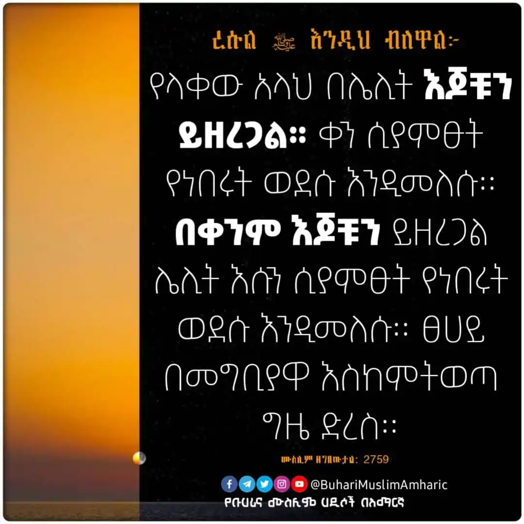 Image from የቡኻሪና ሙስሊም ሐዲሶች በአማርኛ: እናንተ የአላህ ባሪያዎች ሆይ! በተውበት ላይ ተበራቱ!   ረሱል (ﷺ) እንዲህ ብለዋል፦   ﴿إنَّ اللَّه...