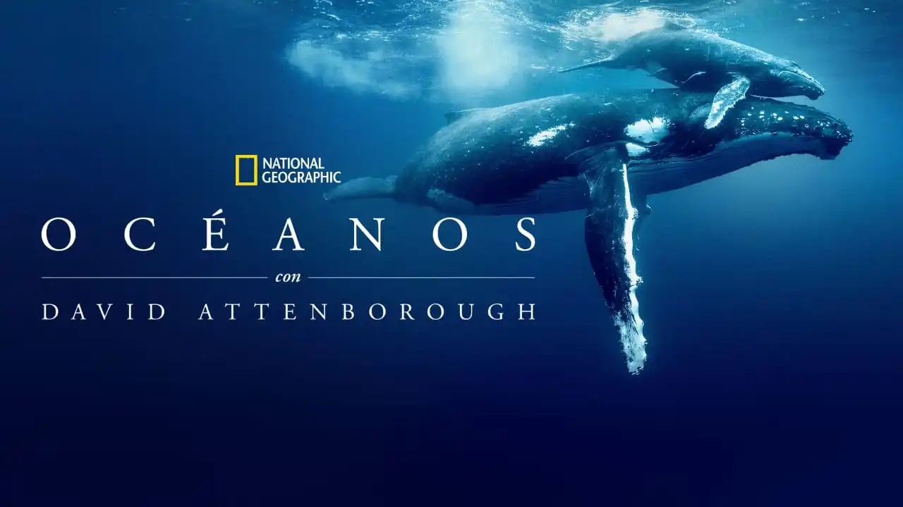 Image from FEEDUNIVERS : Esta noche National Geographic estrena el documental "Océanos con Davi...