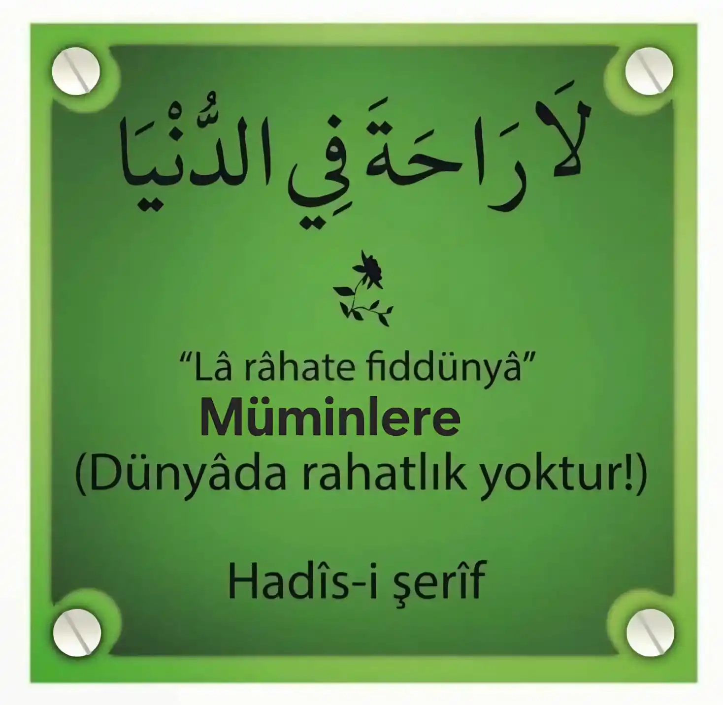 Image from Unutturulan Maneviyat: Hakketten öyle kardeşlerim medrese ve kurs işi öyle bir iş ki  Tamam d...