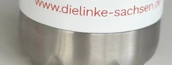 Die Linke Sachsen post