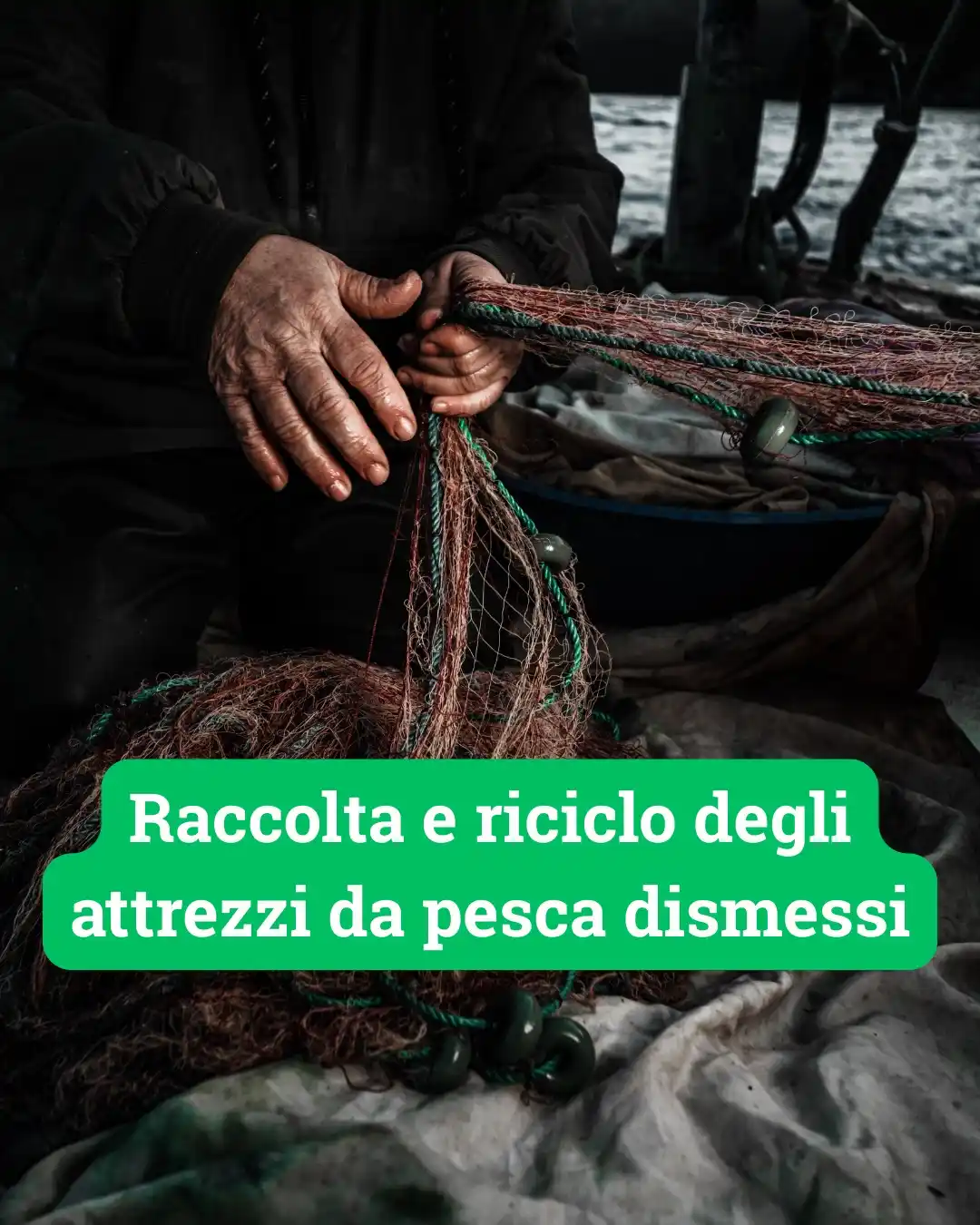 Image from Comune di Cabras: Il Comune di Cabras ha pubblicato un avviso rivolto alle imprese di pe...
