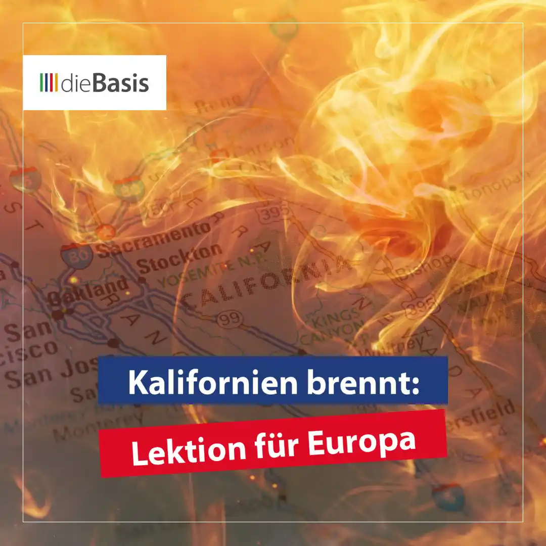 Image from dieBasis NRW: 🔥 *Kalifornien brennt: Lektion für Europa*  *🚨 Was sich in Kaliforni...