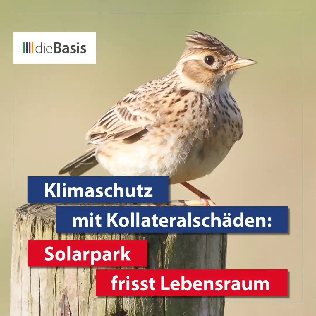 Image from dieBasis NRW: 🤨 *Klimaschutz mit Kollateralschäden: Solarpark frisst Lebensraum*  �...