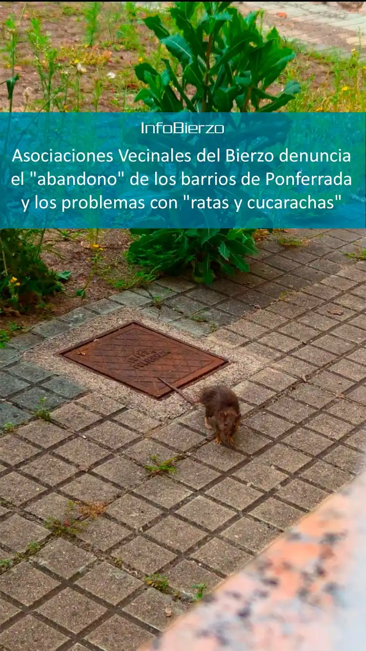 Image from InfoBierzo: La Federación de Asociaciones Vecinales del Bierzo denuncia el "abando...