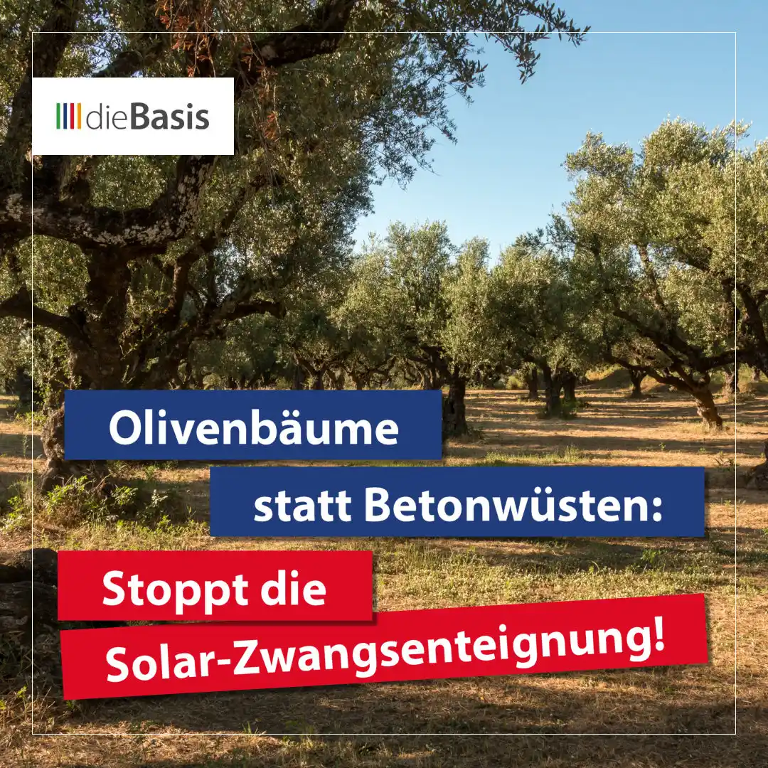 Image from dieBasis NRW: 🌳 *Olivenbäume statt Betonwüsten: Stoppt die Solar-Zwangsenteignung!*...