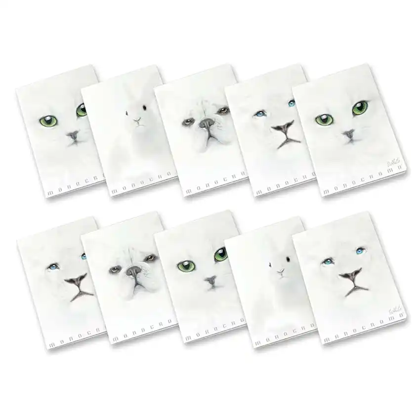 Image from 🔥MEGASCONTI AMAZON🔴 Risparmia con Offerte, Coupon e Sconti: 👀 Pigna, Maxi Quaderno Monocromo White, A4, carta interna 100 g/m², p...