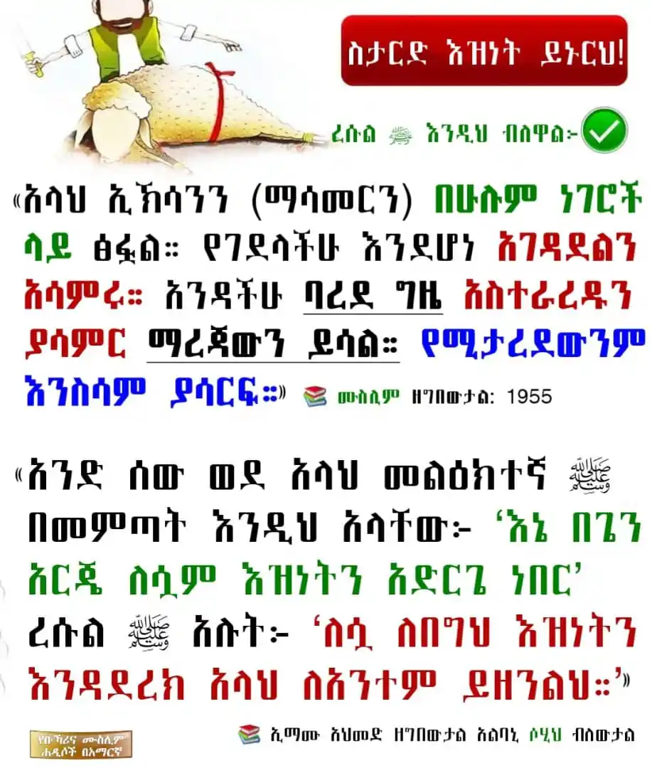Image from የቡኻሪና ሙስሊም ሐዲሶች በአማርኛ: ስታርድ እዝነት ይኑርህ!   ረሱል (ﷺ) እንዲህ ብለዋል፦   ﴿إِنَّ اللَّهَ كَتَبَ الْإِحْسَ...