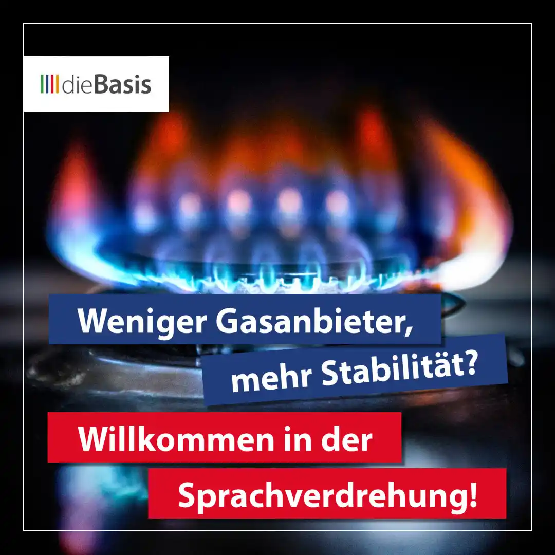 Image from dieBasis NRW: 🙈 *Weniger Gasanbieter, mehr Stabilität? Willkommen in der Sprachverd...