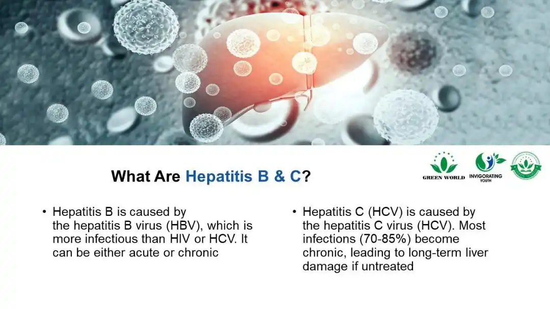 Image from Green World Online Store : What are Hepatitis B & C :  # *Hepatitis B* is caused by the hepatitis...