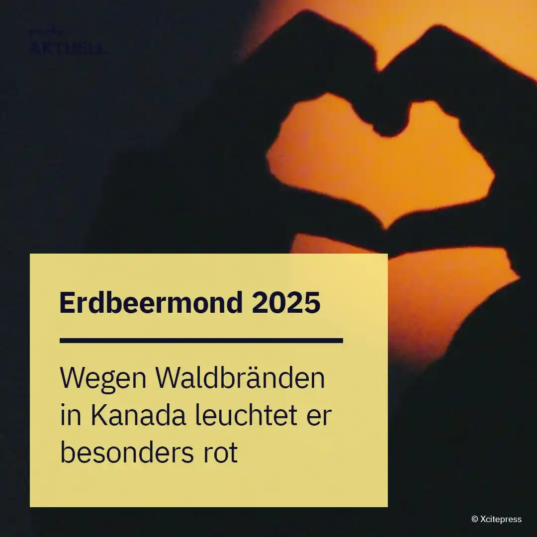Image from MDR Aktuell: 🌕 *Erdbeermond am Himmel über Deutschland* Der Vollmond wirkt derzei...