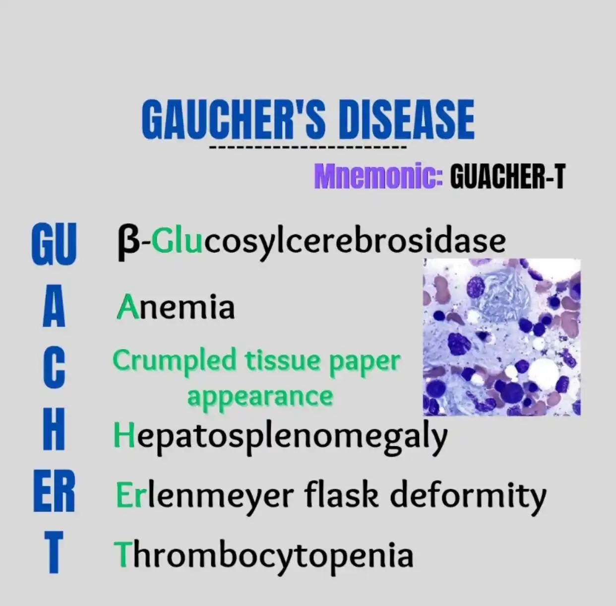2.0 🇧 🇹  ( Flashcards) ✅™© / NEET/ INICET/ FMGE post