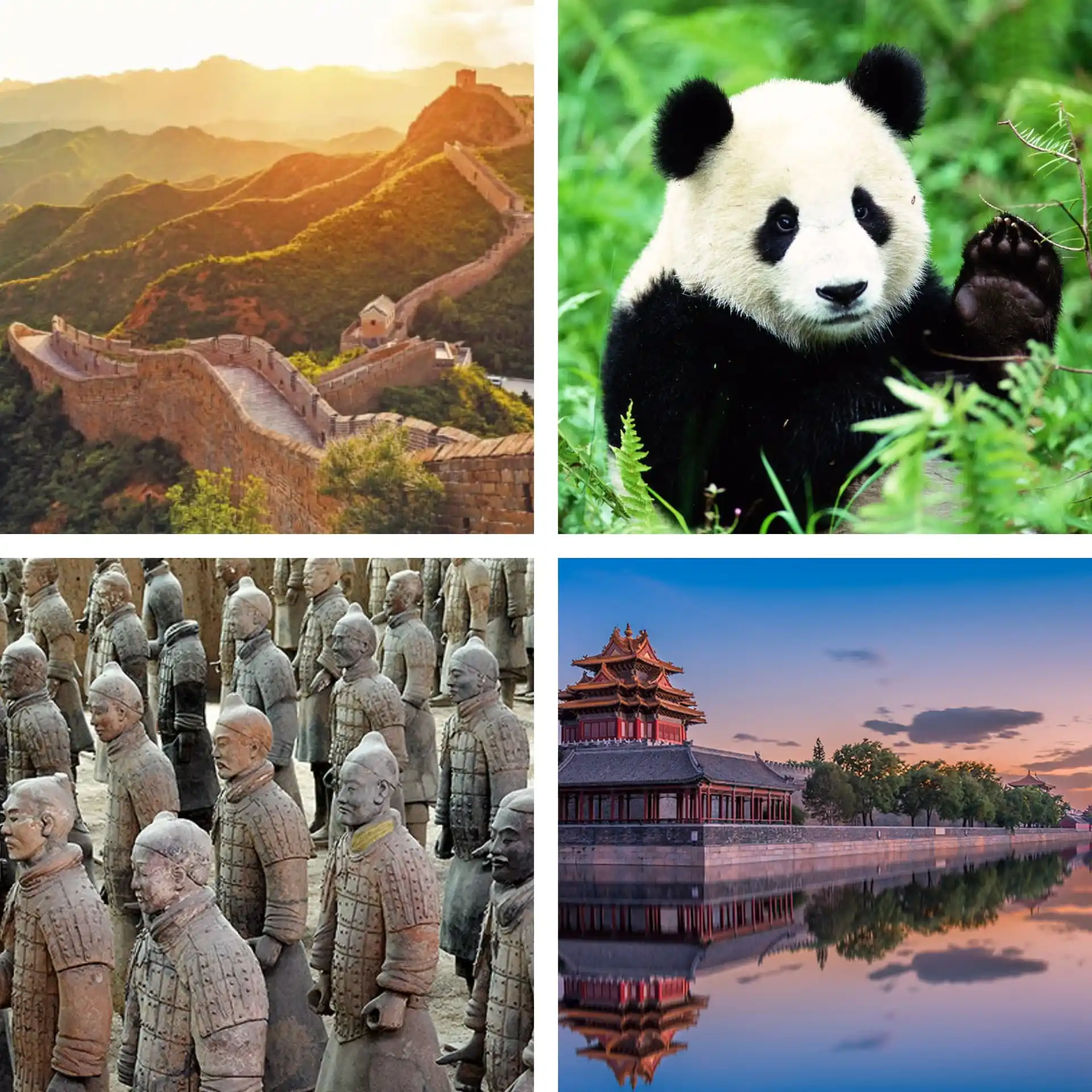 Viaggianelmondo 🌍🌏🌎 post