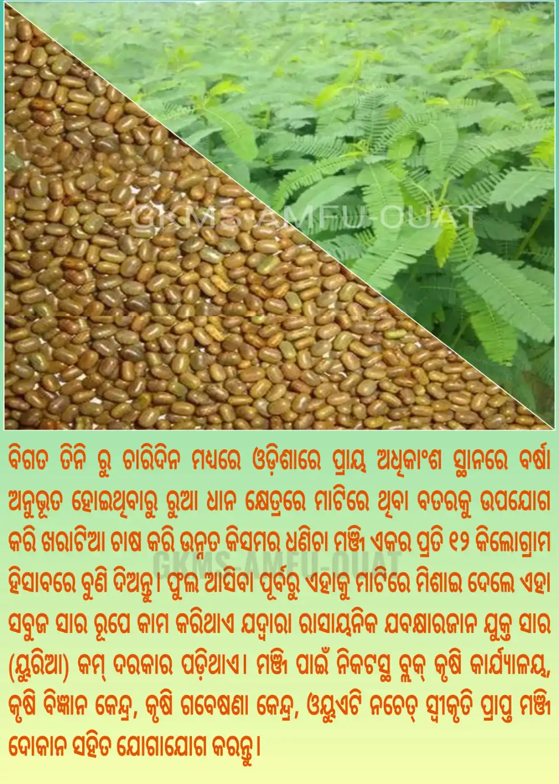 ଗ୍ରାମୀଣ କୃଷି ମୌସମ ସେବା (GKMS), ଓ.ୟୁ.ଏ.ଟି, ଓଡ଼ିଶା post