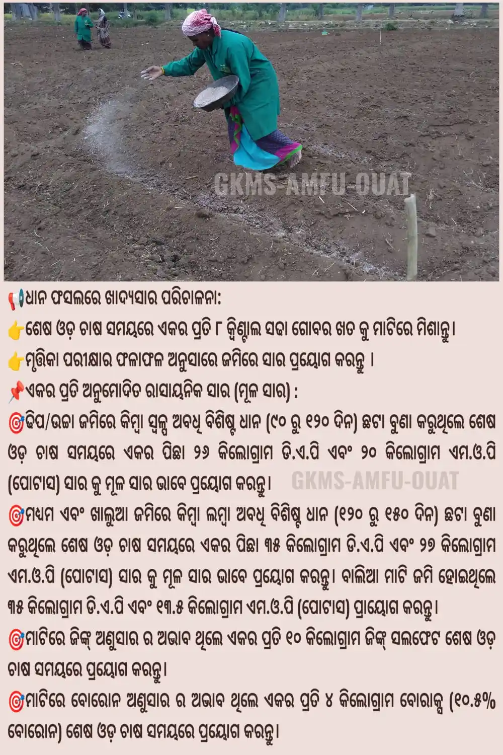 ଗ୍ରାମୀଣ କୃଷି ମୌସମ ସେବା (GKMS), ଓ.ୟୁ.ଏ.ଟି, ଓଡ଼ିଶା post