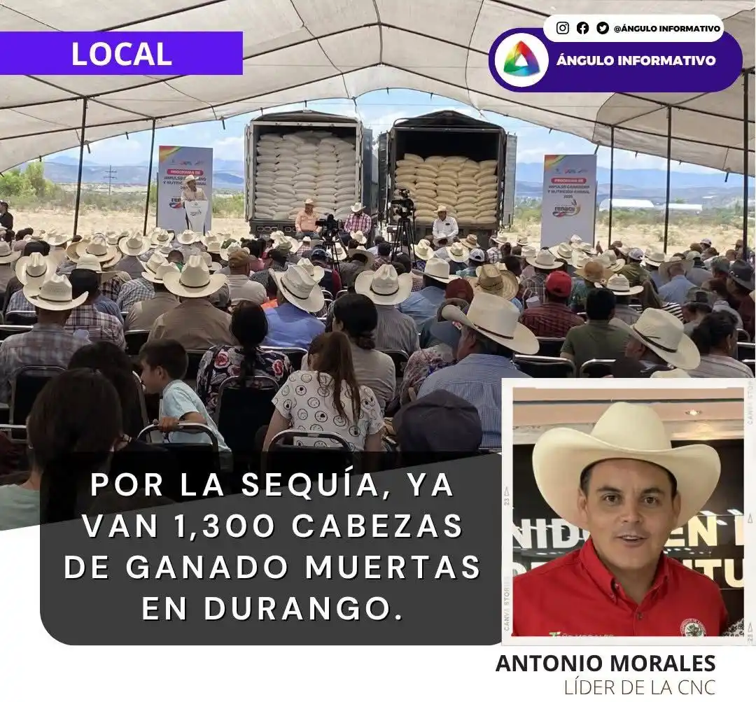 Ángulo Informativo post