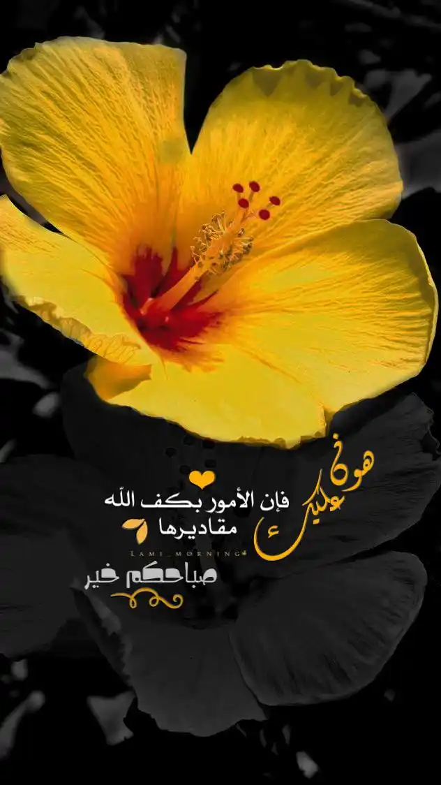 Lami_Mornings 🌷 صباح الخير post