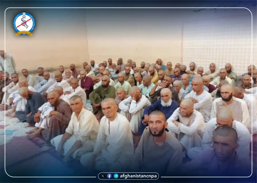 Image from خبرونه: نيمروز ولایت کې ٨٠ تنه روږدي د درملنې پهٔ موخه راټول شوي دي. د کورنیو ...