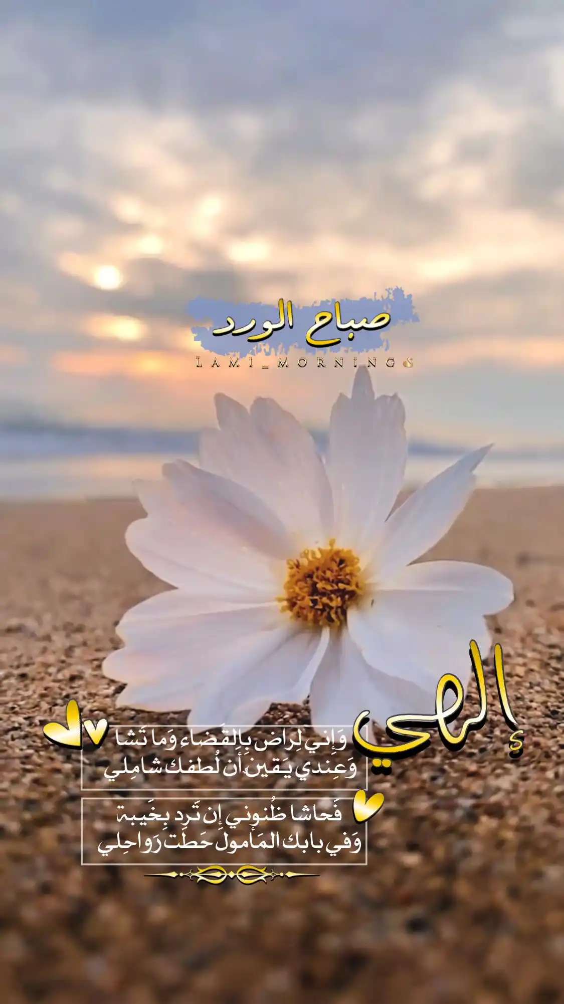 Lami_Mornings 🌷 صباح الخير post