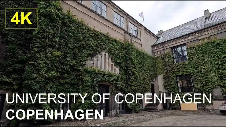 Image from World Scholarship Opportunities: University of Copenhagen Scholarship 2025 in Denmark | Study in Denmar...