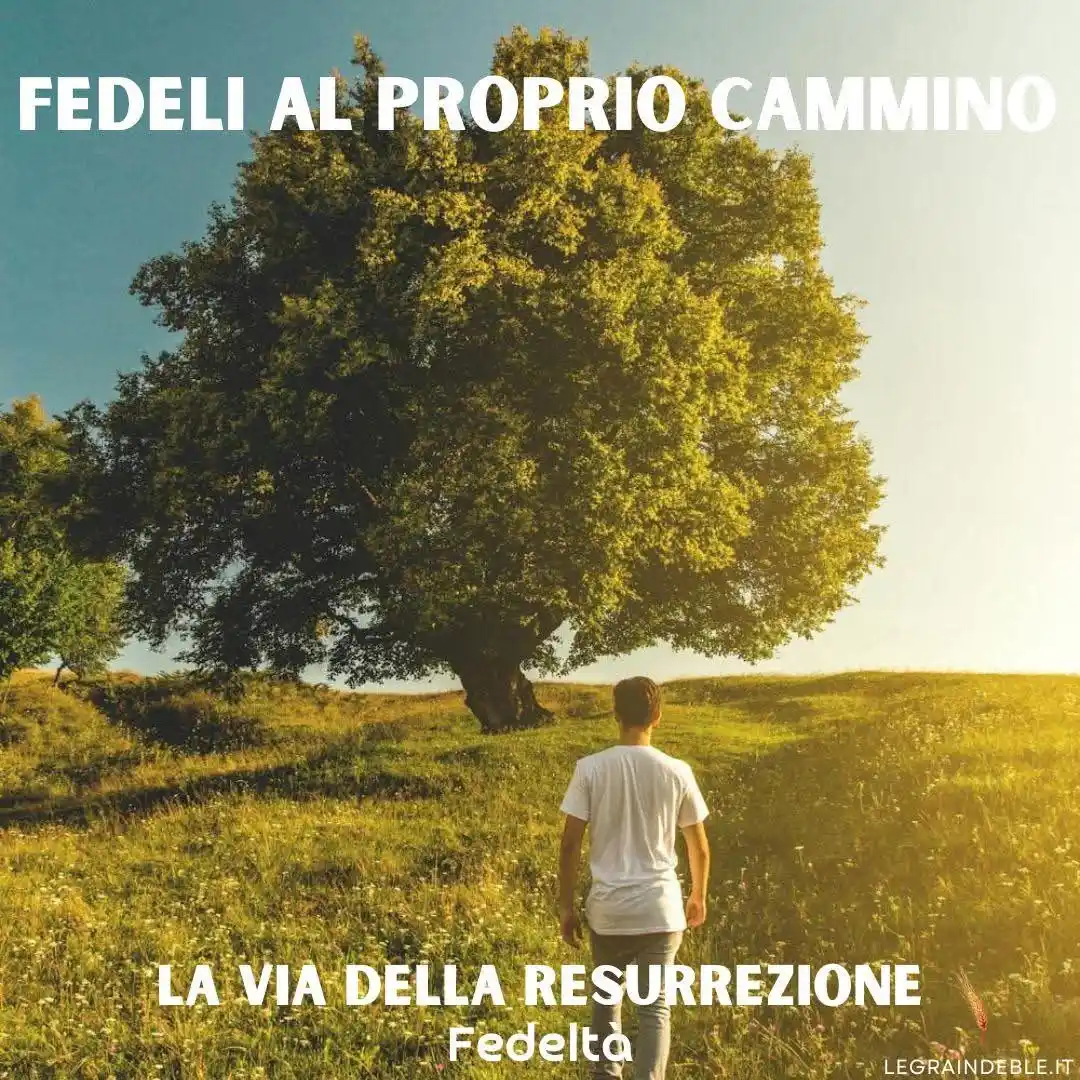 Image from Le Grain de Blè: Ciascuno cerchi il suo luogo, e sia fedele alla vita e infedele a tutt...