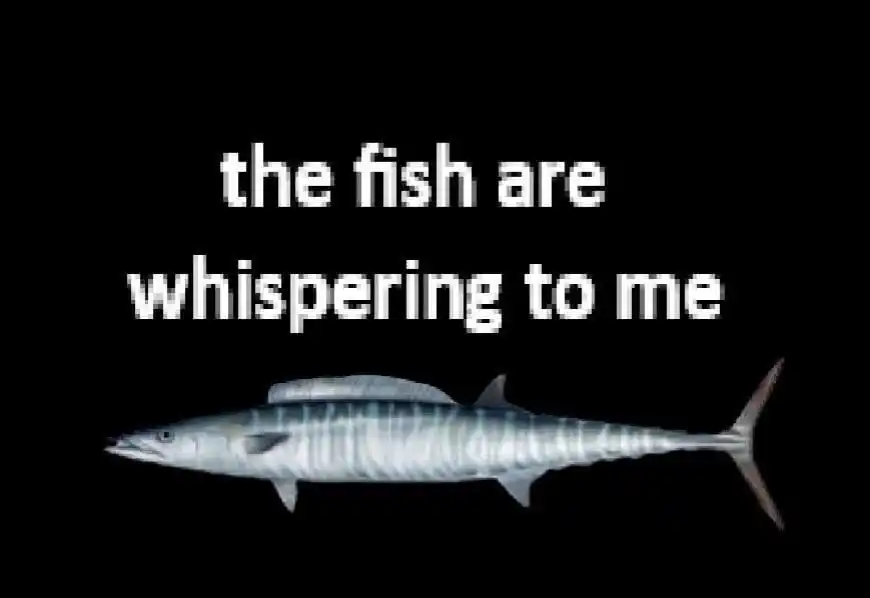 Image from Boomie: Fisch 🐟...