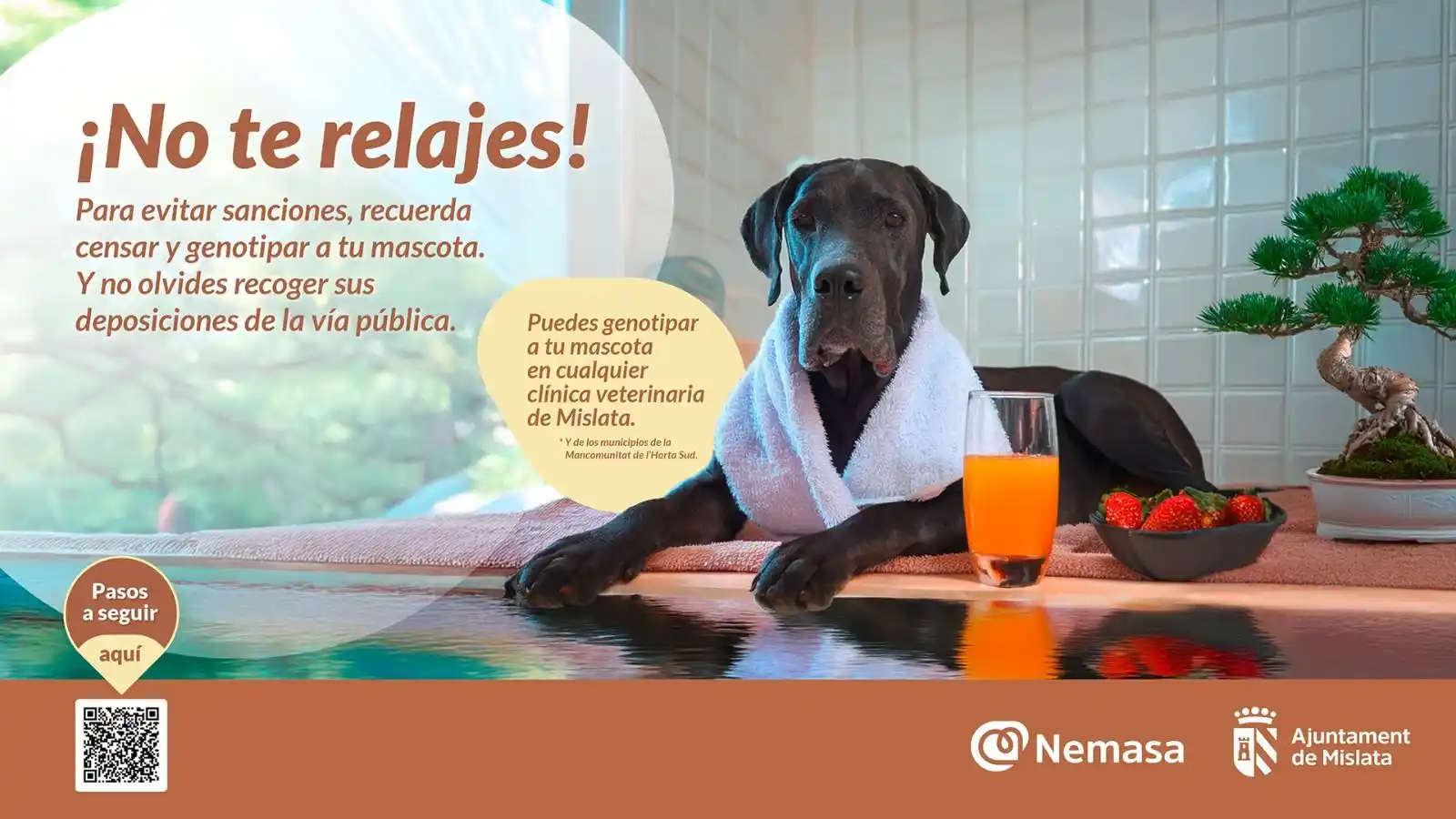 Image from Mislata informa: 🐕¡NO TE RELAJES!🐩 ✅ Nueva campaña municipal de concienciación ciuda...