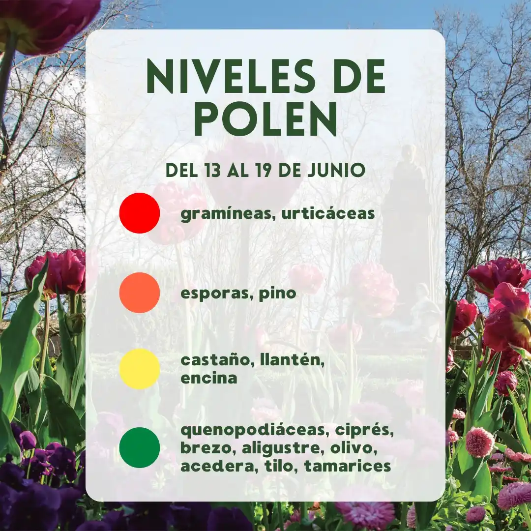 Image from Ayuntamiento de Pamplona: *Predicción niveles de polen* 🌳🌷 Niveles previstos en Pamplona para...