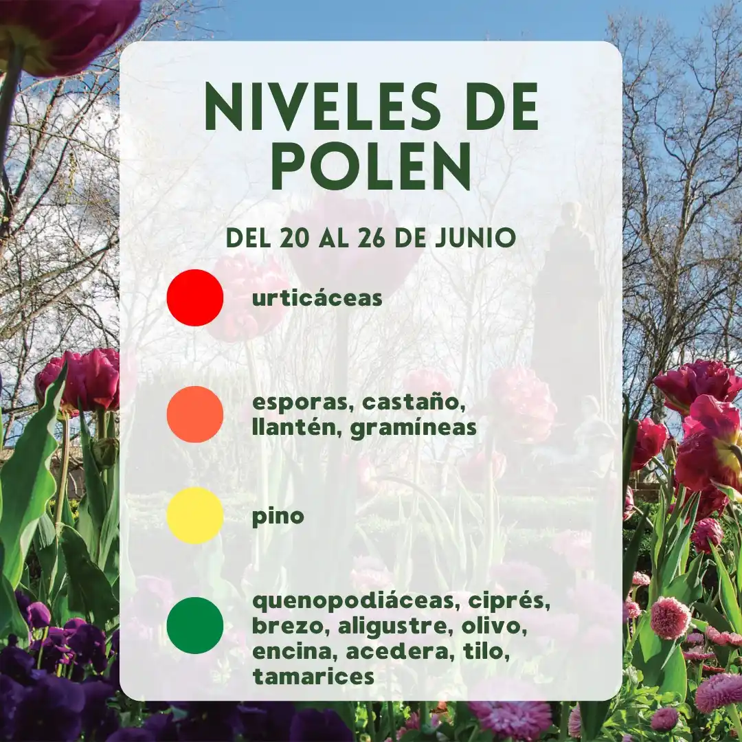 Image from Ayuntamiento de Pamplona: *Predicción niveles de polen*  🌳🌷 Niveles previstos en Pamplona para...