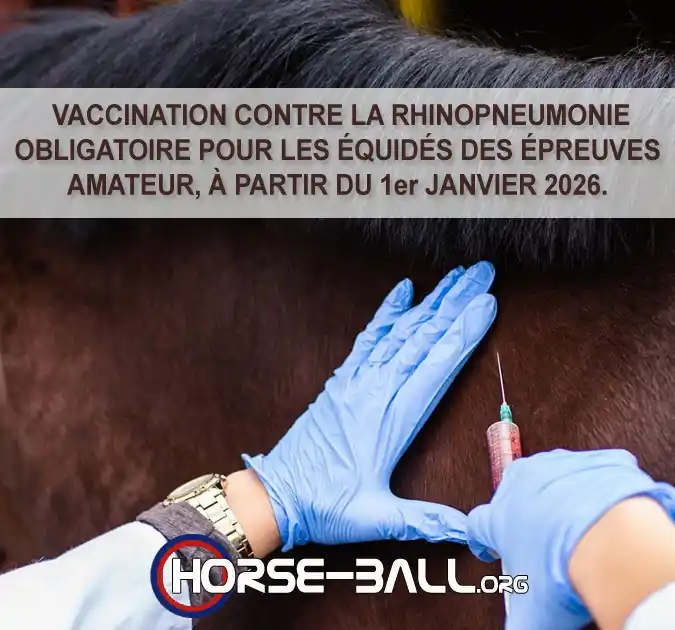 Image from www.horse-ball.org: [ACTUALITÉ] > VACCINATION OBLIGATOIRE POUR LES CHEVAUX CONCOURANT EN A...