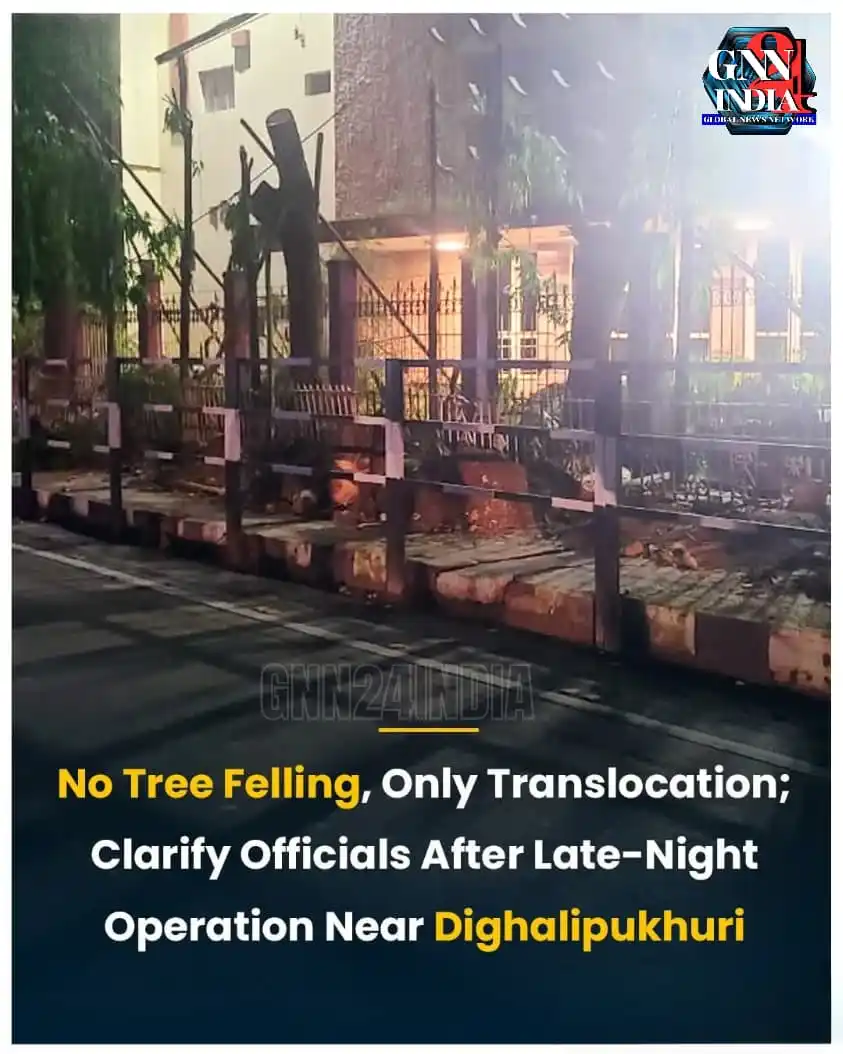 Image from Gnn24india: 🚨 Concerns Over Tree Felling Sparked in Guwahati  On Monday night, tr...