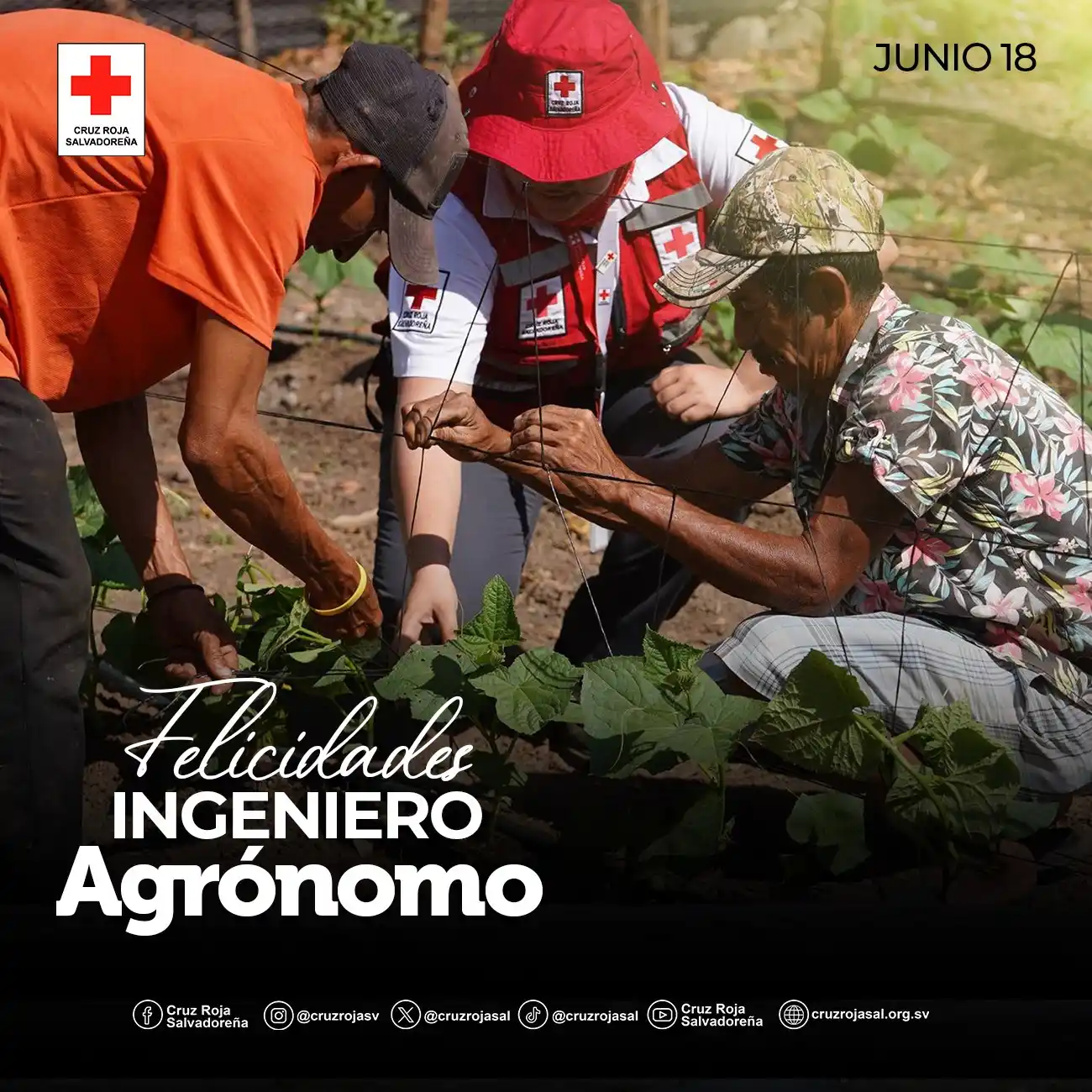 Image from Cruz Roja Salvadoreña: 🌾🌱 ¡Felicidades Ingenieros Agrónomos! Destacamos el trabajo de los...
