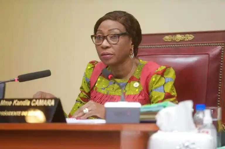 Image from Agence Ivoirienne de Presse: Le Sénat de Côte d’Ivoire a adopté 15 projets de loi portant sur des d...