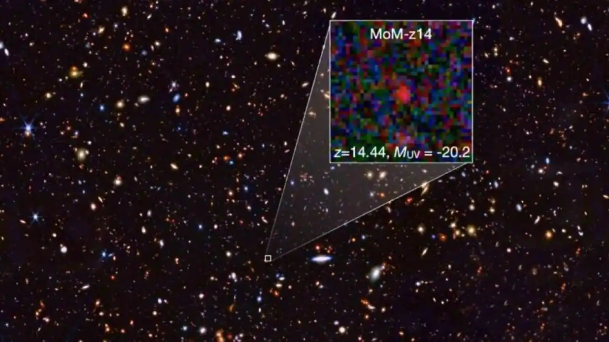 Image from آستروفايل | Astrophile: تلسكوب جيمس ويب يكسر الرقم القياسي من جديد🔭💫!  بعد اكتشافه مجرة MoM-...