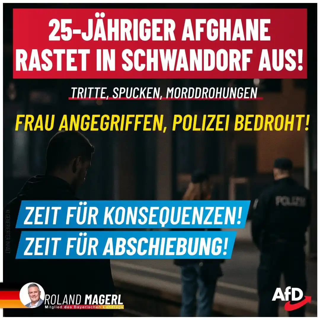 Image from AfD Weiden-Neustadt-Tirschenreuth: 🚨 Bahnhof Schwandorf: Ausreisepflichtiger Afghane attackiert Frau & P...