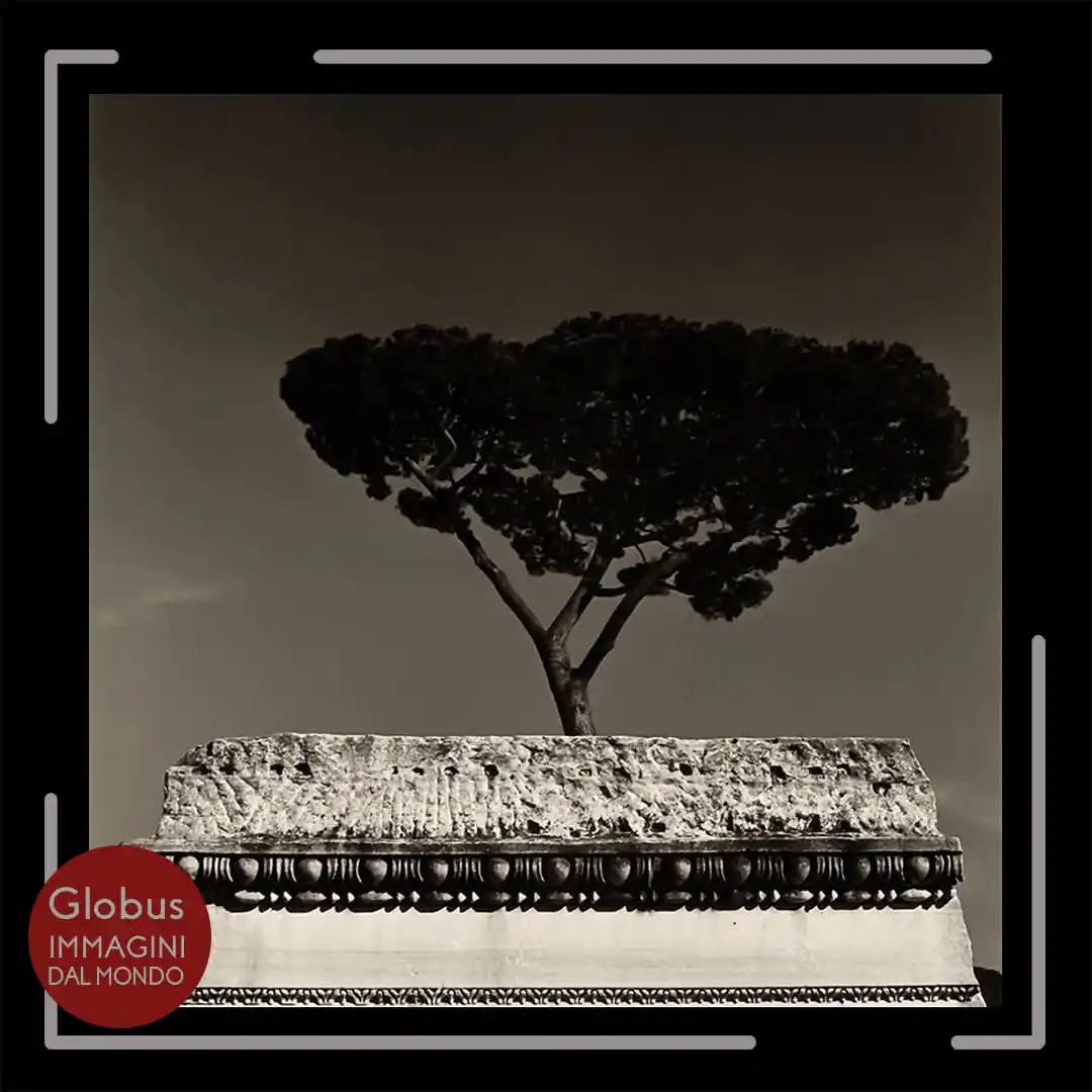 Image from Globus: Dettagli in bianco e nero di Roma – Fotografia di Augusto De Luca Augu...