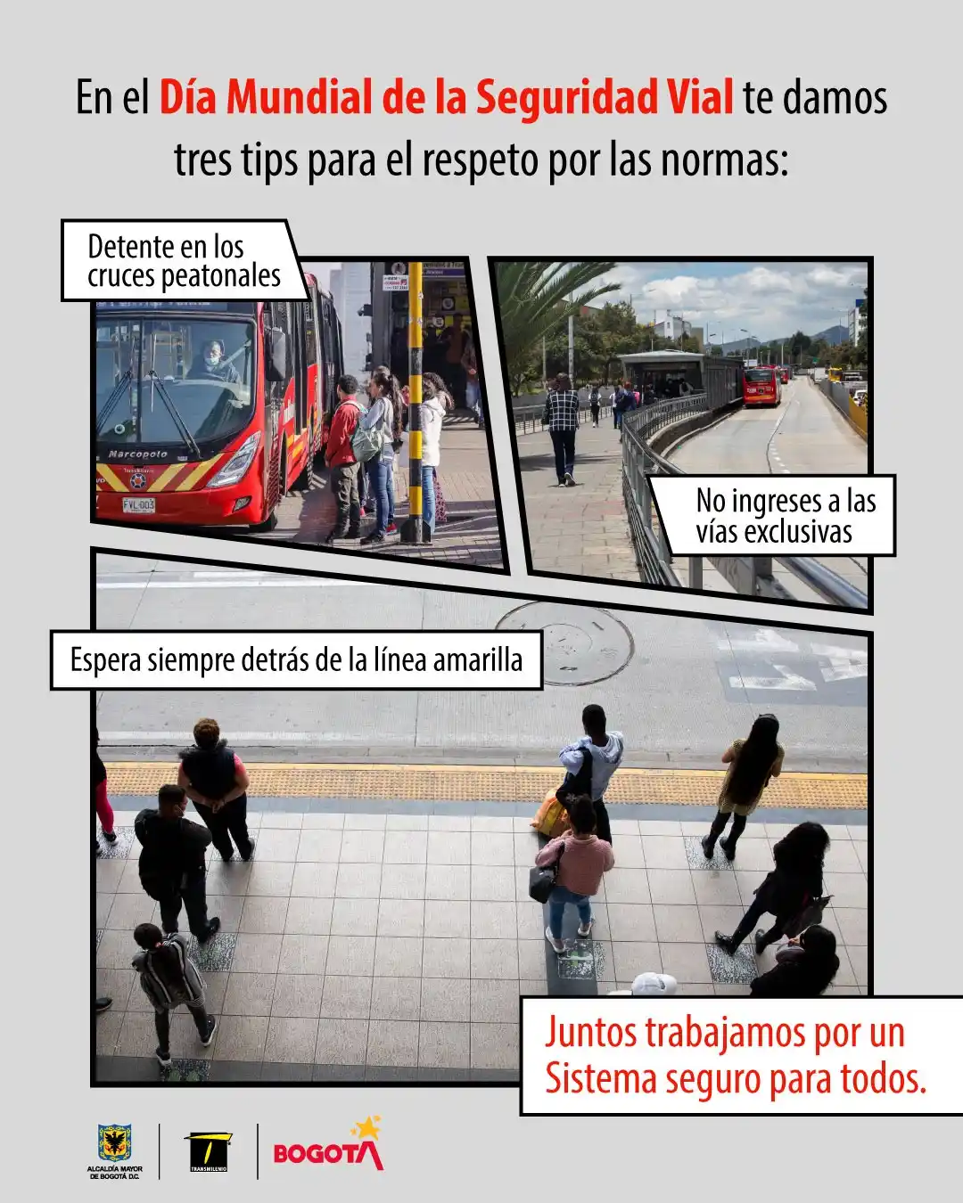 Image from Canal TransMilenio: Hoy es el <a class="text-blue-500 hover:underline cursor-pointer" href...
