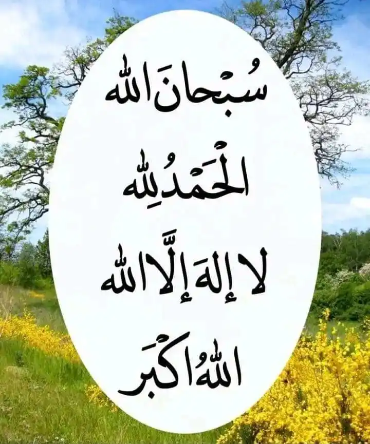 Image from طريق🕋الجـــنه: *┈┉━━╭🌹╮━━┉┈* *هي الدّنيا.....* *كسرٌ وجبر... !!!* *🌺 أن تذكر ال...