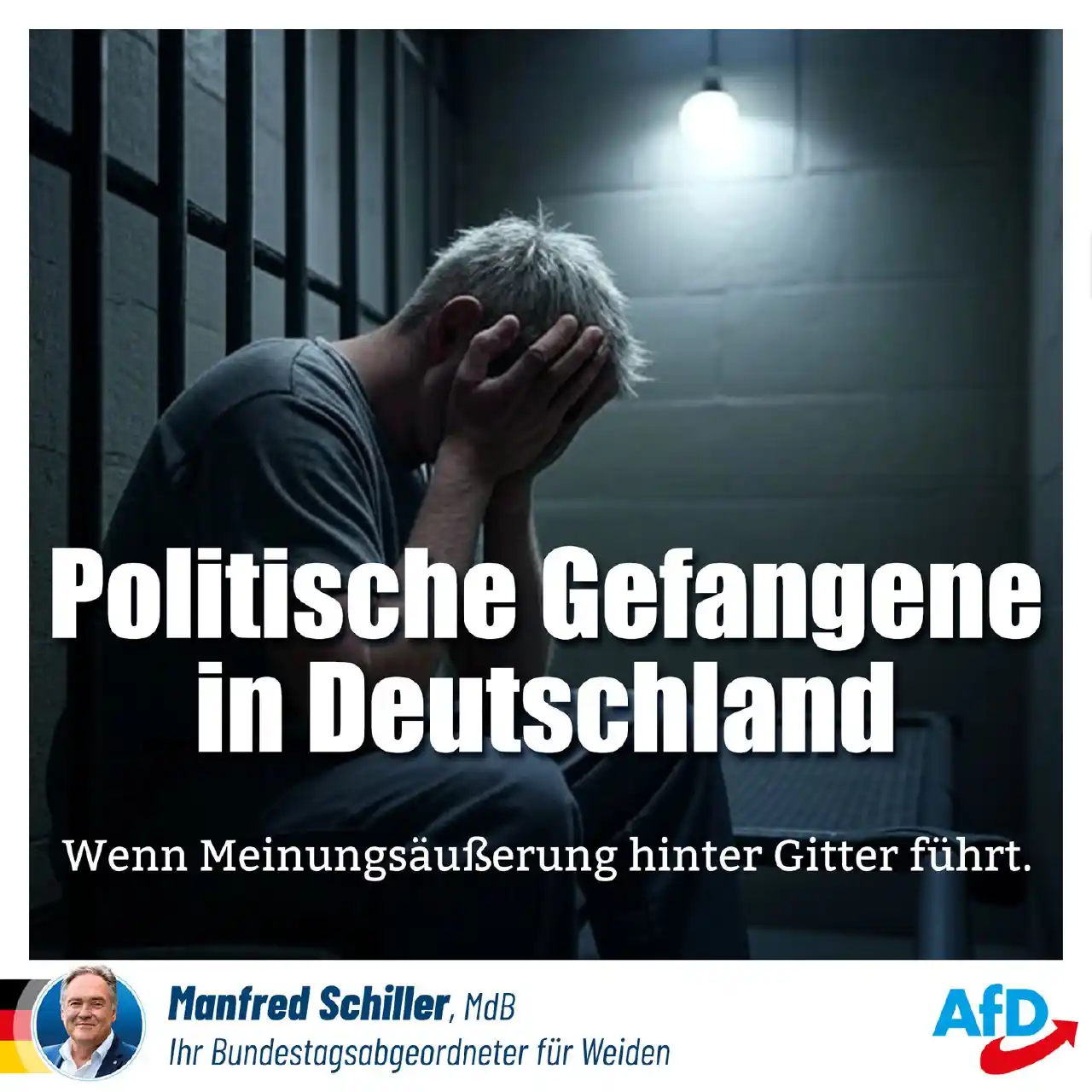 Image from AfD Weiden-Neustadt-Tirschenreuth: Liebe Freunde,  sie redeten von Patriotismus & davon, dass wir nicht m...