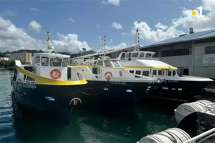 Image from Martinique La 1ère: 🚨⛴️ Navettes maritimes : Blue Lines annonce des embarquements déplacé...
